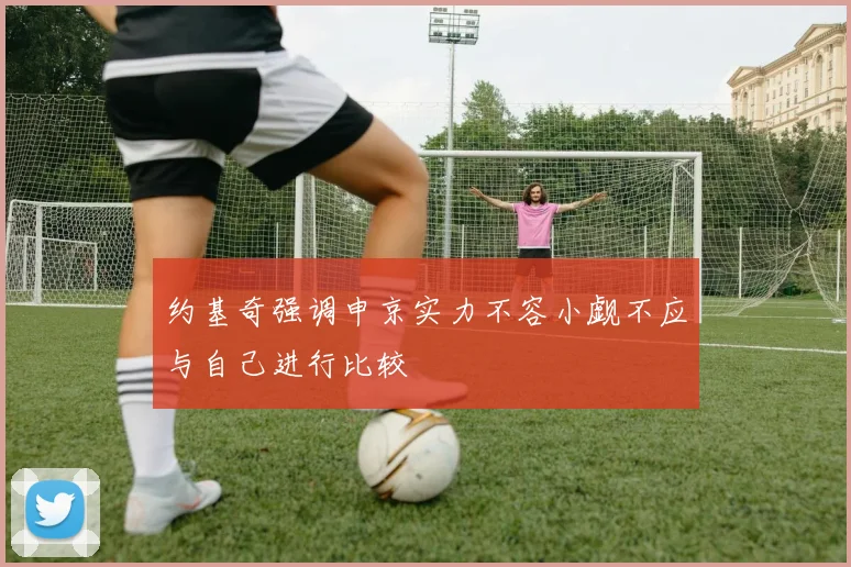 约基奇强调申京实力不容小觑不应与自己进行比较