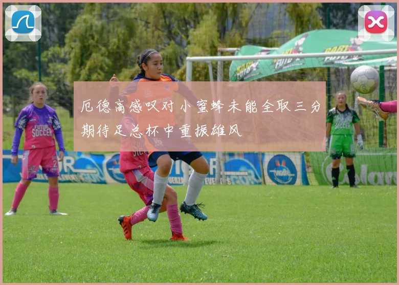 厄德高感叹对小蜜蜂未能全取三分期待足总杯中重振雄风