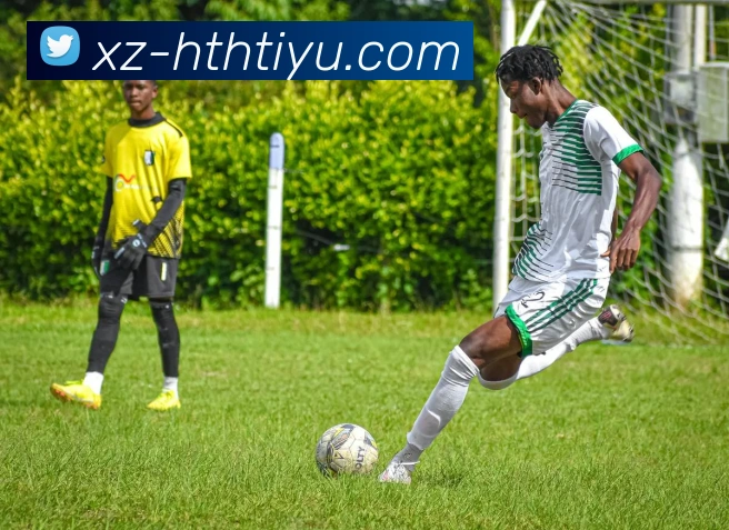 App Interface Preview